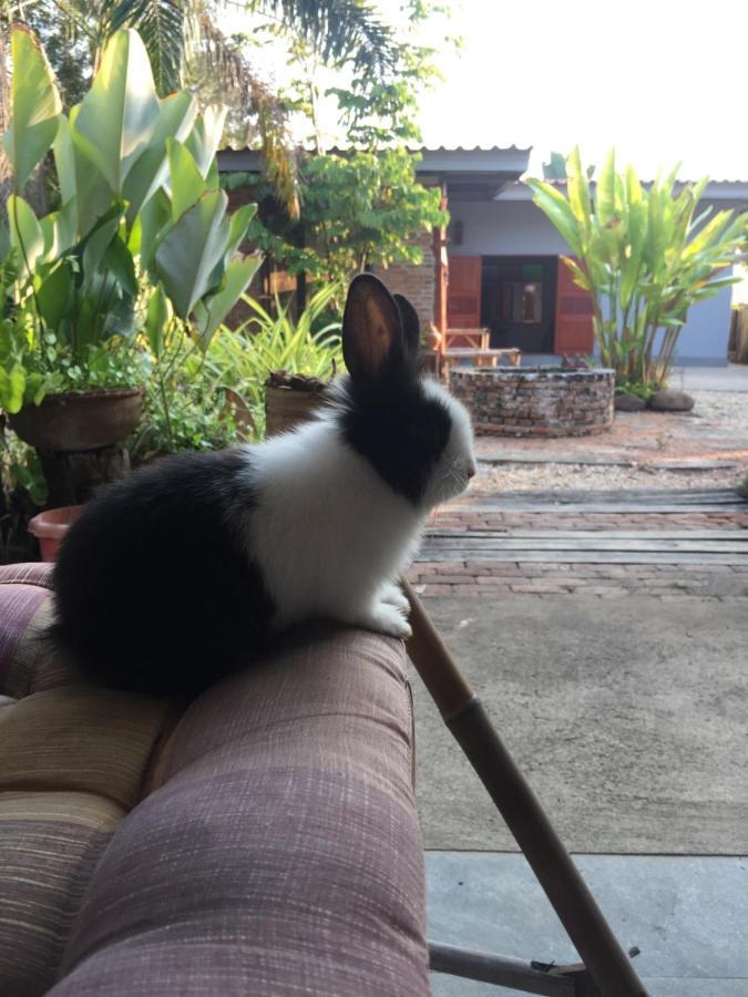 Farm stay Baan Mali Lampang